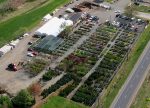 Meadows Farms Nurseries & Landscaping