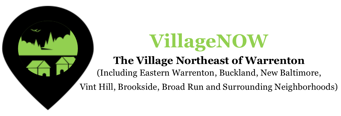 VillageNOW.org